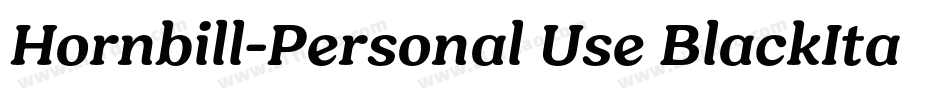 Hornbill-Personal Use BlackItalic字体转换